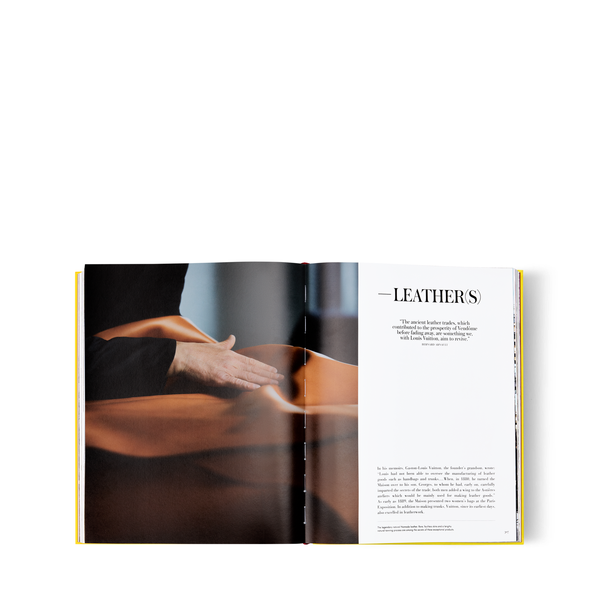 From Louis To Vuitton - Trunks, Travel and Home - Library | LOUIS